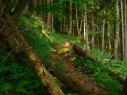 2013-07-13_Regina-F-Rau_Sonnenspitze3 (023).JPG